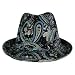 41vjwkduE8L. AA75  BLACK BLUE GREEN FANCY PAISLEY STRUCTURED FEDORA HAT