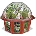 Search : Bonsai Village Growing Kit
