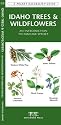 Idaho Trees & Wildflowers (Pocket Naturalist - Waterford Press)