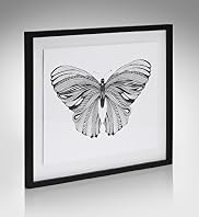Conran Large Butterfly Wall Art