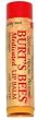 Burt's Bees Medicated Lip Balm with Clove Oil (1 Each)