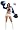 Dallas Cowboys Cheerleader Costume Adult - Small