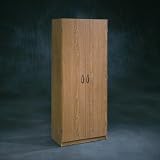 Sauder Beginnings Storage Cabinet