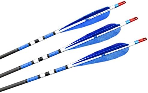 Lehang8899 Craftsmans Handmade Carbon Shaft Archery Arrow Feathers F Bow Blue Color 80cm pack of 24