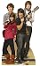The Jonas Brothers & Demi Lovato Disney Camp Rock Group Pose Life-Size Cardboard Standup Standee Cutout Poster