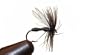 Black Ant Fly by Wild Water, Size 14, Price Per 3 Flies