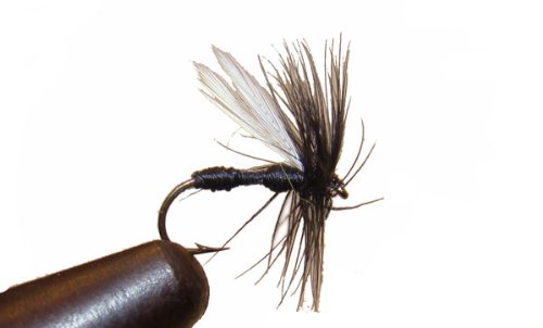 Black Ant Fly by Qty. 3