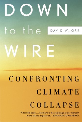 down to the wire confronting climate collapse
