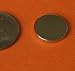 50PCS Rare Earth Magnets 1/2 X 1/16 Neodymium Discs - Bottle Cap Magnet