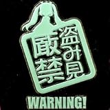 秋葉原発信彩蒔絵シール 盗み見厳禁:グリーン