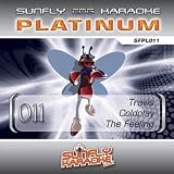 Sunfly Karaoke Platinum Series Volume 11 (CD+G)