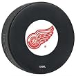 Detroit Red Wings Souvenir Logo Puck (Quantity of 10)