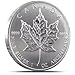 2013 1 Oz Canadian Silver Maple Coin