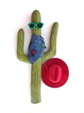 Cowboy Cactus Antenna Cover