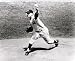 Whitey Ford New York Yankees 16x20 Photo (Pitching B&W)