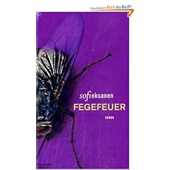 Fegefeuer: Roman