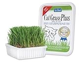Picture Cat-A'bout Multi-Cat CatGrass Plus Tub 150 grams by MiracleCorp/Gimborn