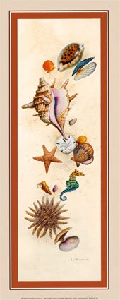 Seemuschelninsel von Lisa Danielle, 21x51