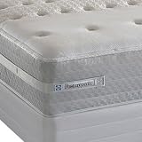 Twin XL Sealy Posturepedic Lanceleaf Plush Mattress 41vlZ31fO0L. SL160 Twin XL Sealy Posturepedic Lanceleaf Plush Mattress