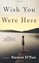 Wish You Were Here: A Novel