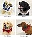 Casual Canine Scrunchy Cllr Red Glitter 10-26 In