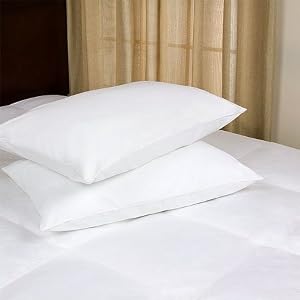 Joseph Abboud Set of 2 Down Alternative Pillow, King by Joseph Abboud
