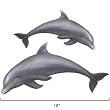 2 Playful Dolphins Tropical Mural Wall Stickers