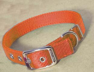Double Thick Nylon Dog Collar, 1