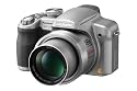 Panasonic DMC-FZ28EG-S Digitalkamera (10 Megapixel, 18-fach opt. Zoom, 2,7" Display) Titan-Silber