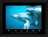 41vmBYxX41L. SL160  talbots petite	|Bob Talbot FRAMED Art Print 28x36 La Petite Baleine