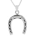 Sterling Silver Horseshoe Necklace