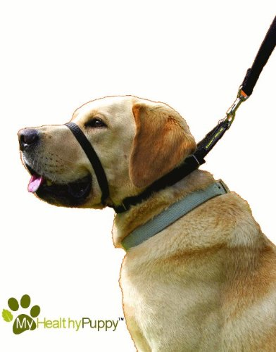 Canny Collar for Dogs Size 5