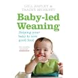 Baby-led Weaning: Helping Your Baby To Love Good Food by Gill Rapley and Tracey Murkett