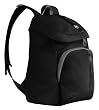 Pacsafe SlingSafe 300 Travel Backpack