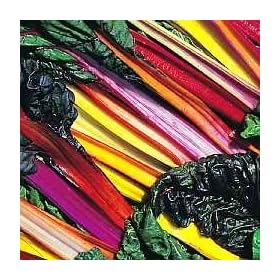 Beet Leaf - Swiss Chard - Bright Lights - 40 SEEDS