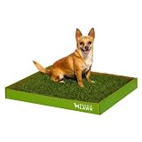 Doggielawn Disposable Dog Potty Box (Real Grass) - 20 X 24 Inches ~ DoggieLawn