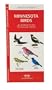 Minnesota Birds: An Introduction to Familiar Species (State Nature Guides)