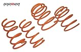 Nissan 09-UP 370Z Megan Racing Lowering Low Coil Springs Nissan 09-UP 370Z Megan Racing Lowering Low Coil Springs