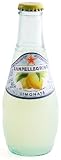 San Pellegrino Limonata Sparking Beverage - 24/6 oz bottles