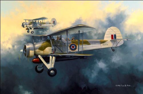 Swordfish, by David Poole-Open Edition on Archival Paper