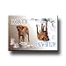 Rhodesian Ridgeback Dishwasher Magnet