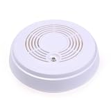 Buy 3m Range 85 Decibel Loud Buzzer LED Indication Carbon Monoxide CO Alarm Detector by Neewer