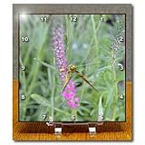 natures beauty - 6x6 Desk Clock