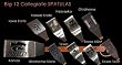 Collegiate Rosewood Handle Spatula (Big 12)