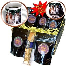 Dogs Cavalier King Charles Spaniel - Two Blenheim Cavalier King Spaniel - Coffee Gift... by 3dRose LLC