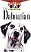 The Dalmatian: An Owner's Guide to a Happy Healthy Pet by Patti Strand, Rod Strand