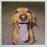 LEE BURRIDGE & STEVE PORTER / RAW DOG