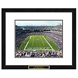 Baltimore Ravens NFL Framed Double Matted Stadium Print