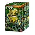 Teenage Mutant Ninja Turtles: Box Set Vol 1-4