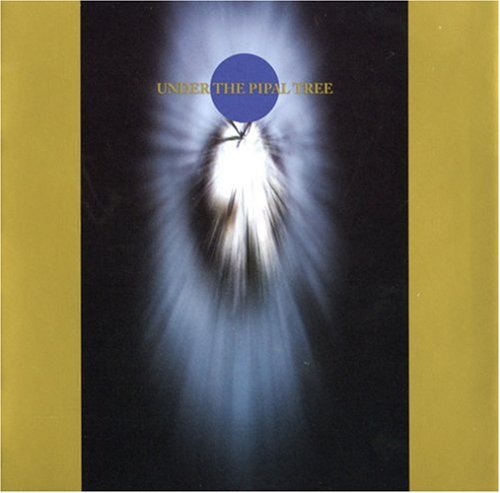 41vnpbt4dil
